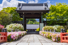 妙満寺 4
