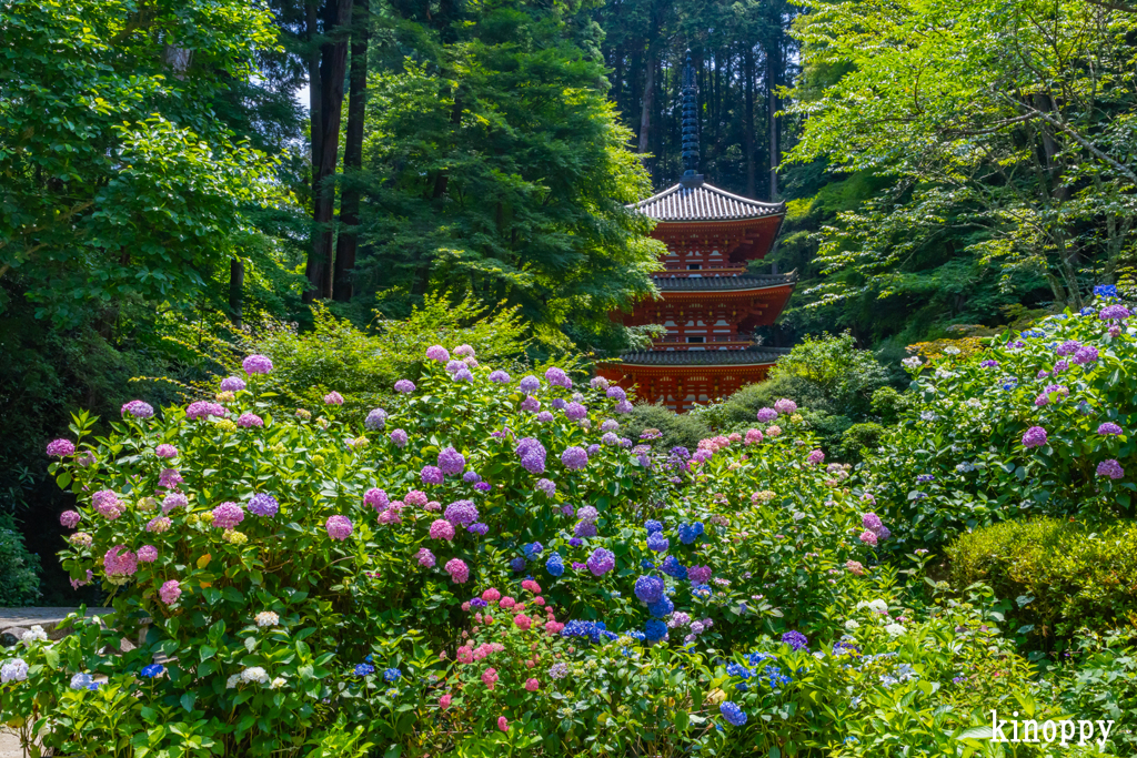 岩船寺