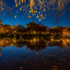 東寺 紅葉 ライトアップ 2
