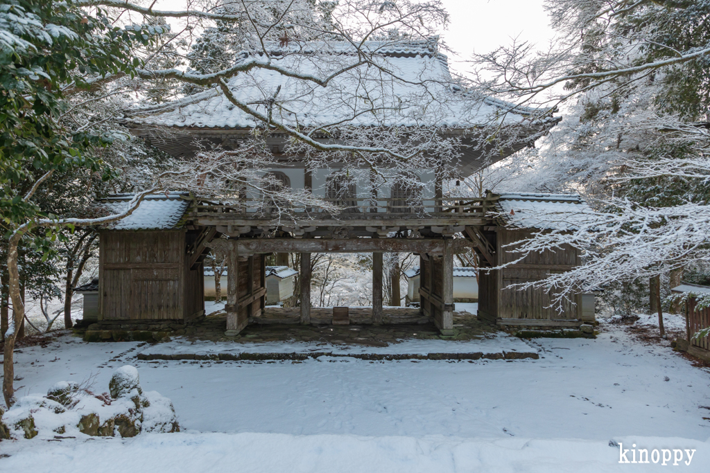 高源寺 雪景色 7