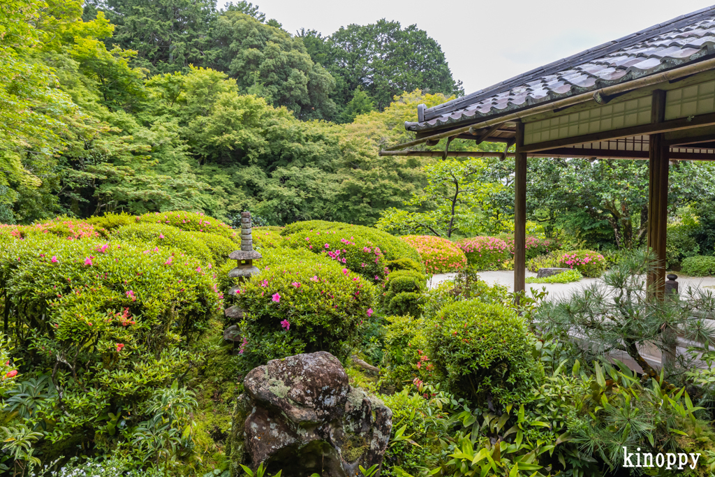 詩仙堂丈山寺 3