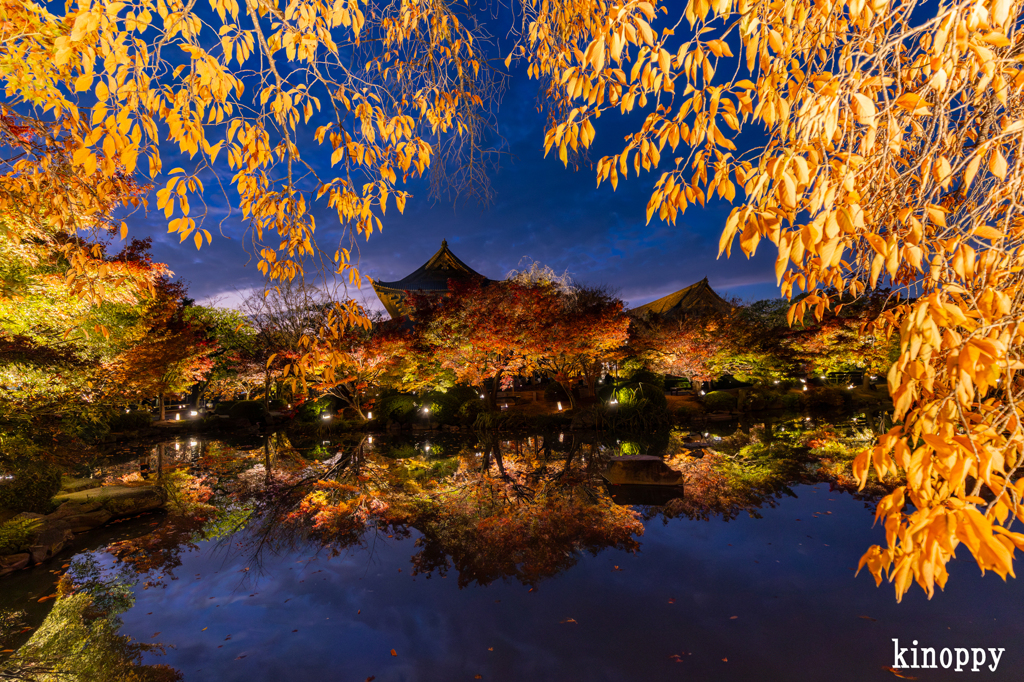 東寺 ライトアップ 6