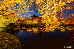 東寺 紅葉 3