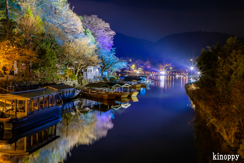 嵐山花灯路 6