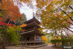 高源寺 紅葉 5