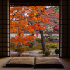 鹿王院 紅葉 3