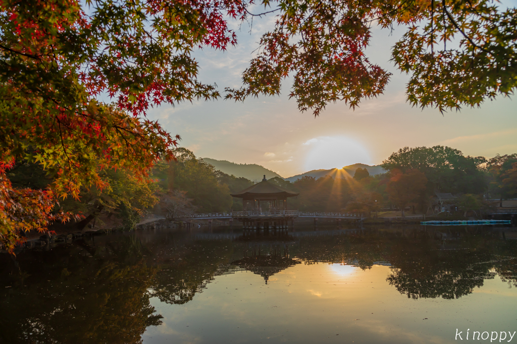 奈良 浮御堂 紅葉 2