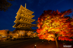 東寺 ライトアップ 2