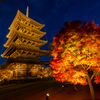 東寺 ライトアップ 2