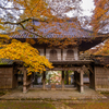 高源寺 紅葉 8