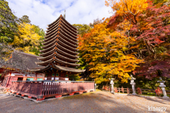 談山神社 紅葉 2