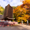 談山神社 紅葉 2
