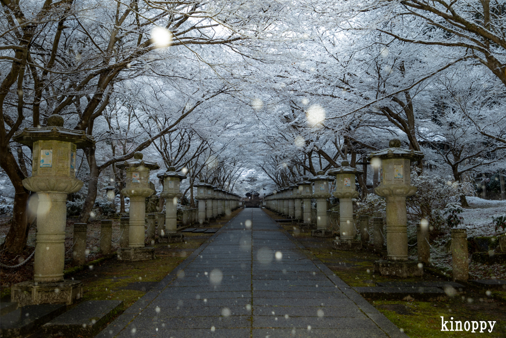 高山寺 冬景色