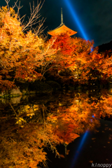 清水寺 紅葉 ライトアップ 3