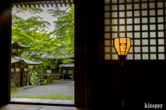 愛宕念仏寺 新緑 4