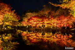 東寺 ライトアップ 3