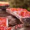 高源寺 紅葉 10