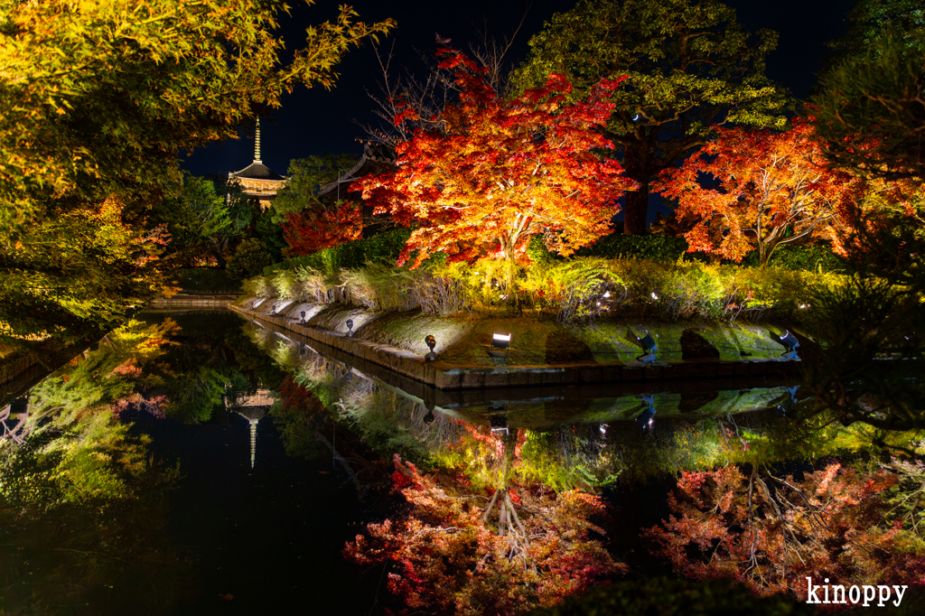東寺 ライトアップ 8