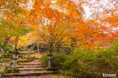 高源寺 紅葉 9