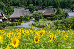 かやぶきの里