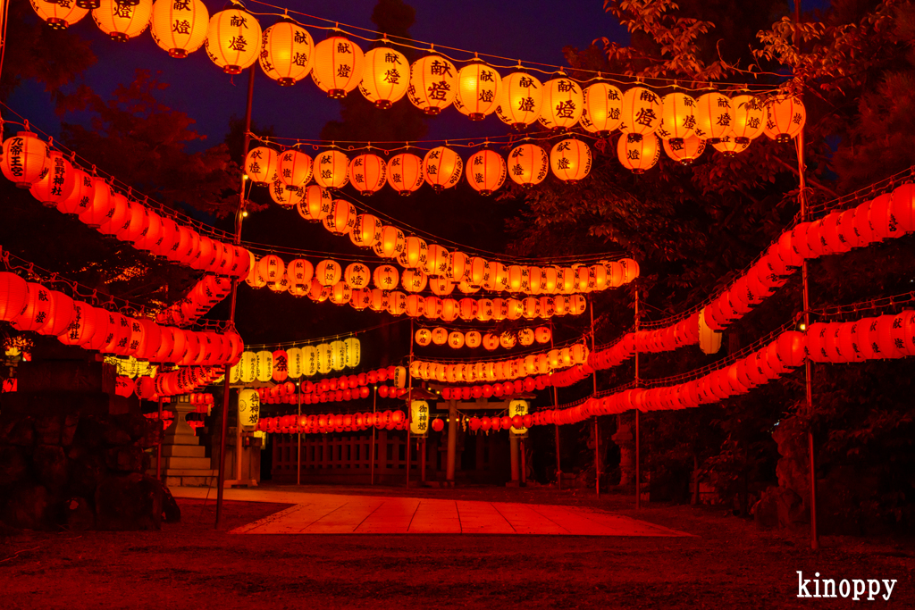 萱野神社 献灯祭 3