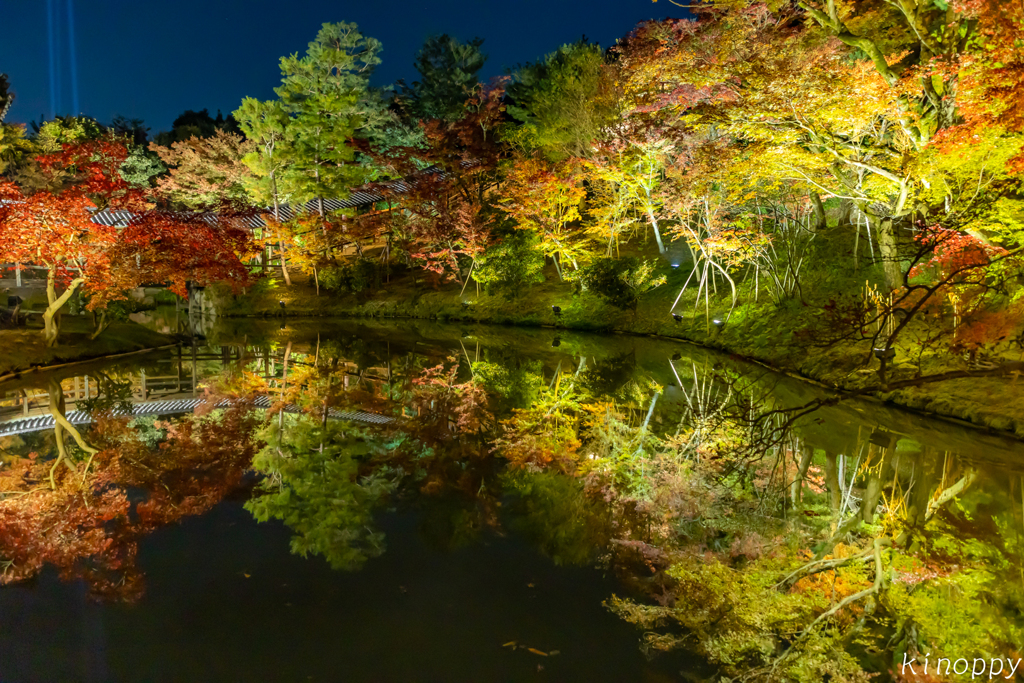 高台寺 紅葉