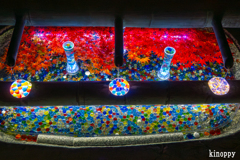 岡寺紅葉ライトアップ 5