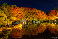 好古園 紅葉 ライトアップ 2