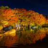 好古園 紅葉 ライトアップ 2