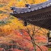 高源寺 紅葉 4