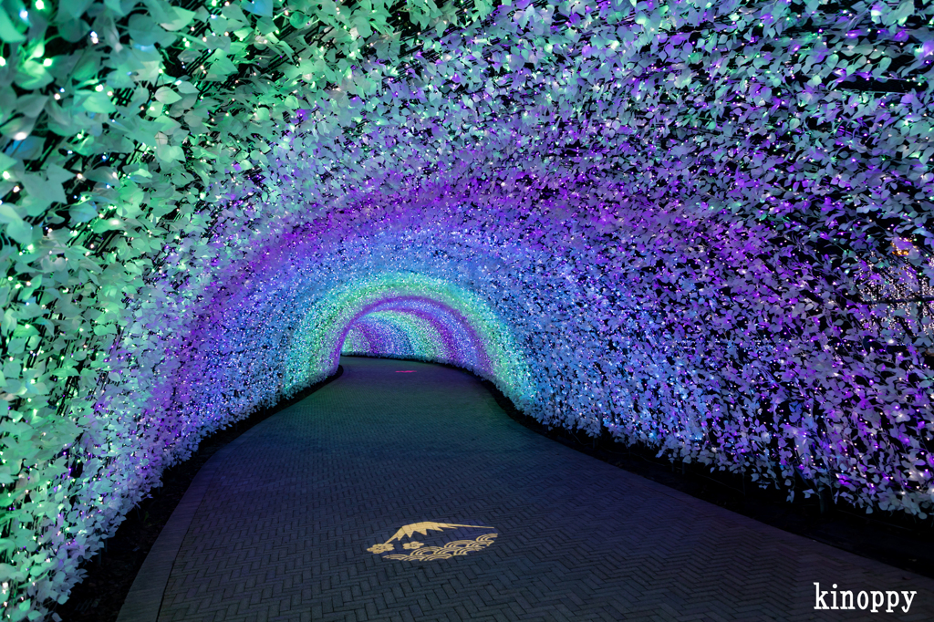 なばなの里 イルミネーション 8