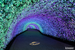 なばなの里 イルミネーション 8