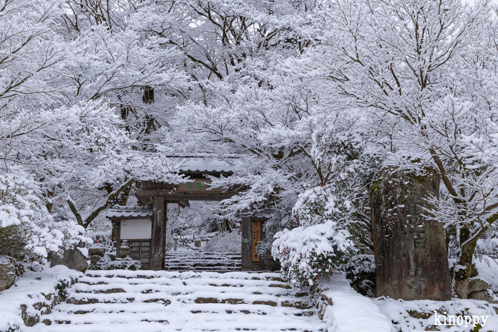 高源寺 雪景色 5