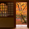 圓光寺 紅葉 6