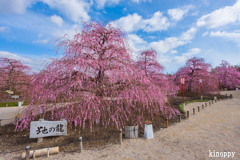 鈴鹿の森庭園