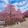 鈴鹿の森庭園