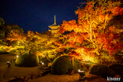 東寺 ライトアップ 5