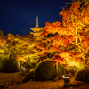 東寺 ライトアップ 5