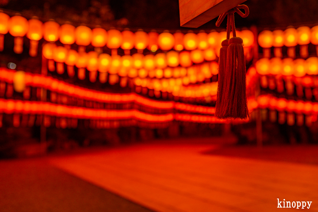 萱野神社 献灯祭 10