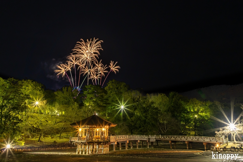 奈良公園バースデー花火