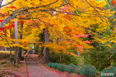龍穏寺 紅葉
