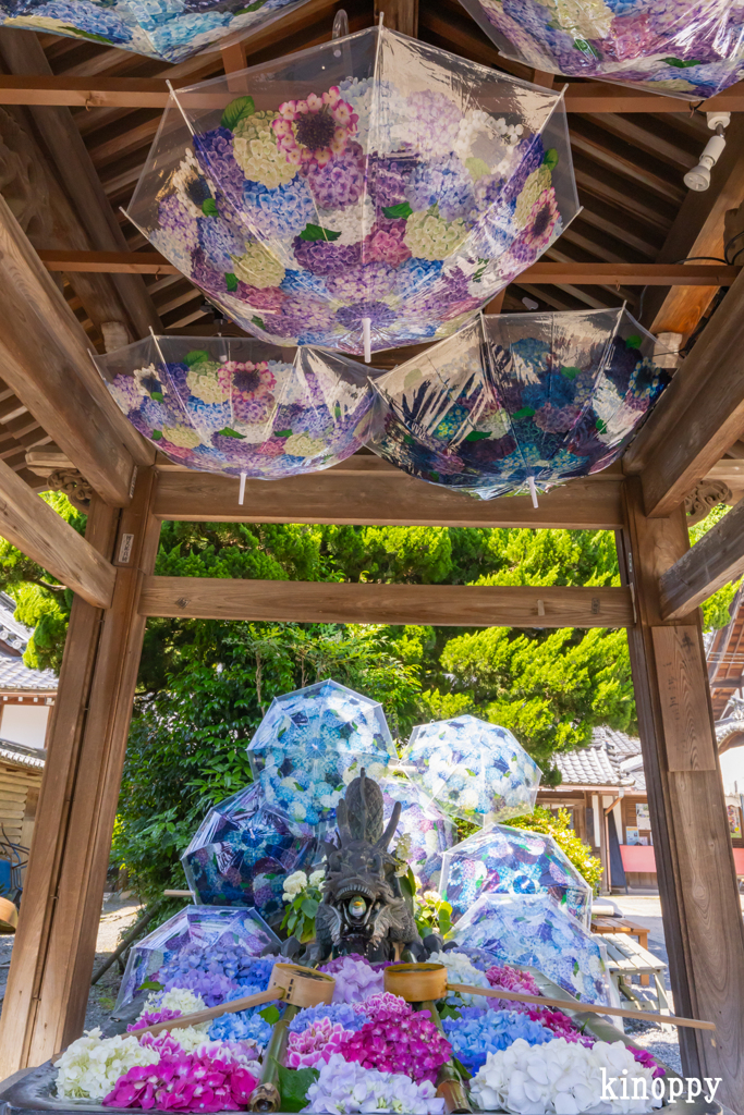 柳谷観音楊谷寺 2