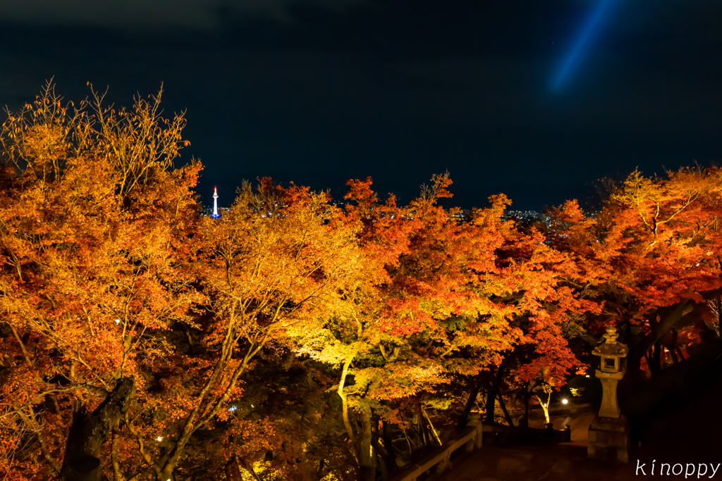 清水寺 紅葉 ライトアップ 6