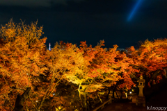 清水寺 紅葉 ライトアップ 6