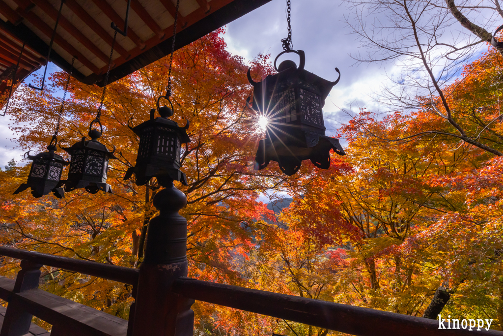 談山神社 紅葉 7