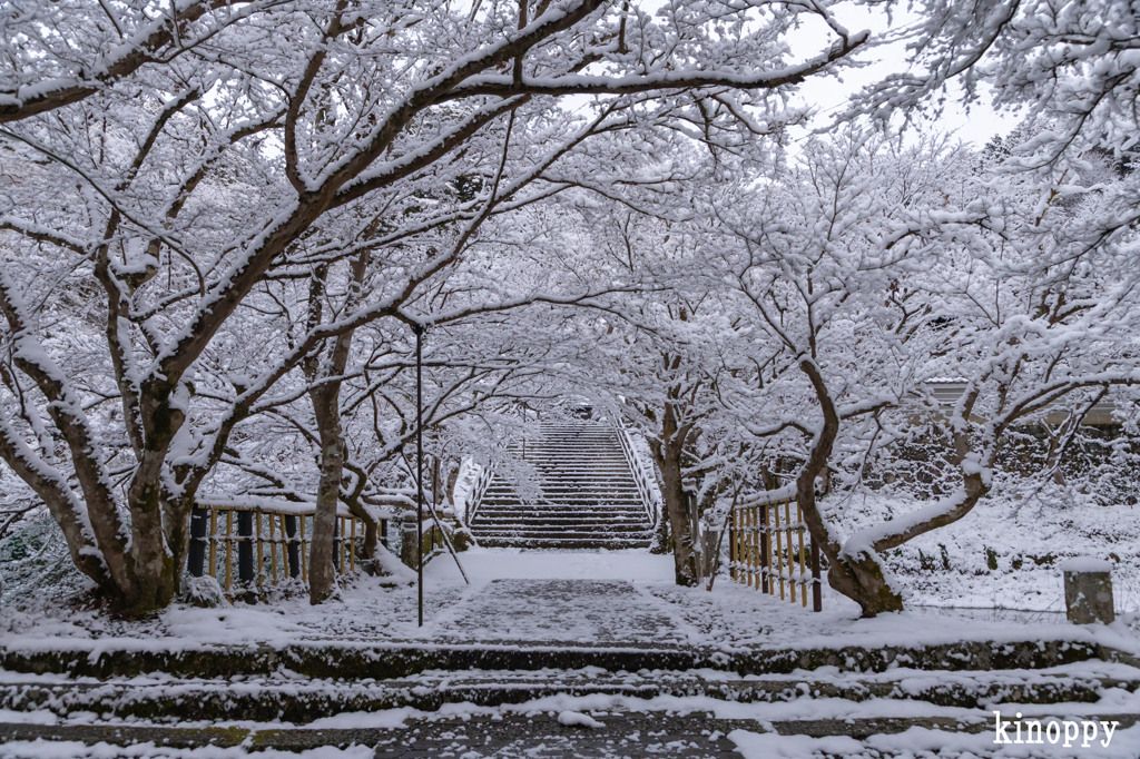 円通寺 雪景色 3