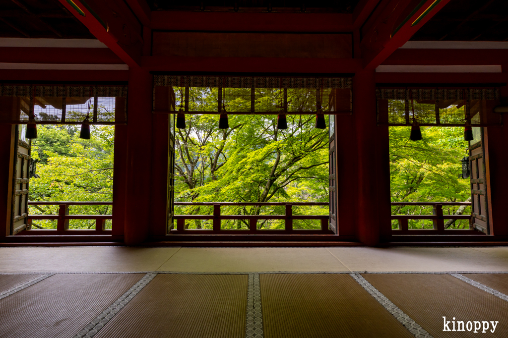 談山神社 新緑 3
