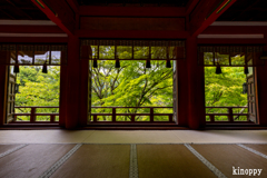 談山神社 新緑 3