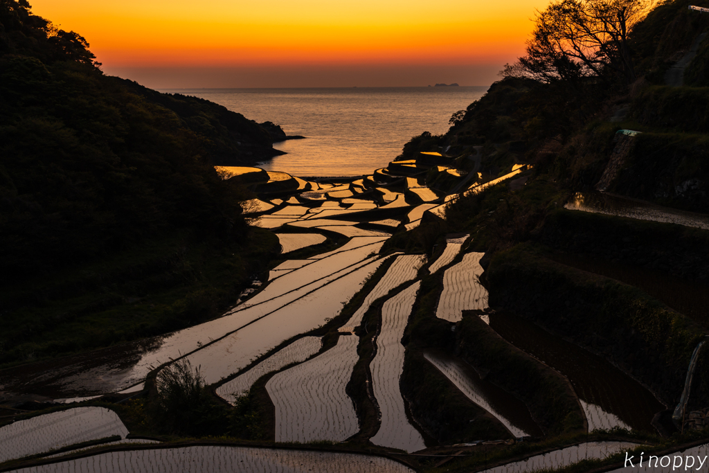 浜野浦 棚田 夕景 2