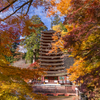 談山神社 紅葉